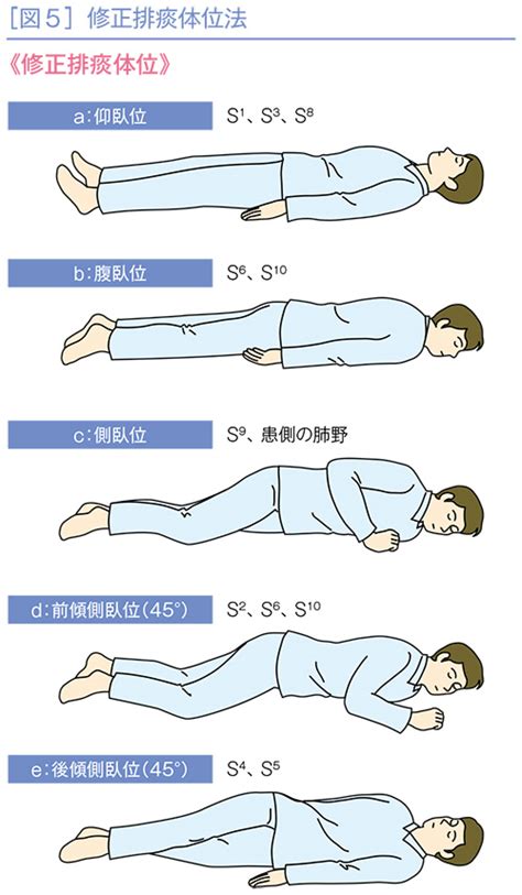 左側位|臥位姿勢の種類 7種類の体位の名前と特徴をイラスト解説 